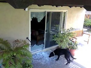 Broken-glass-door-300×224