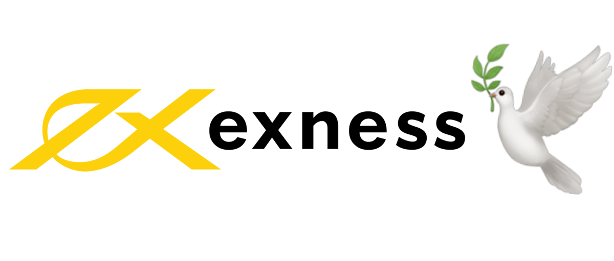 Download Exness Mt5 Desktop Version 21